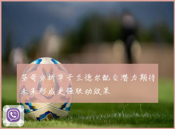 芬奇分析华子兰德尔配合潜力期待未来形成更强联动效果